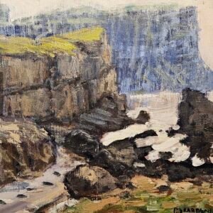 pól skarðenni vágseiði